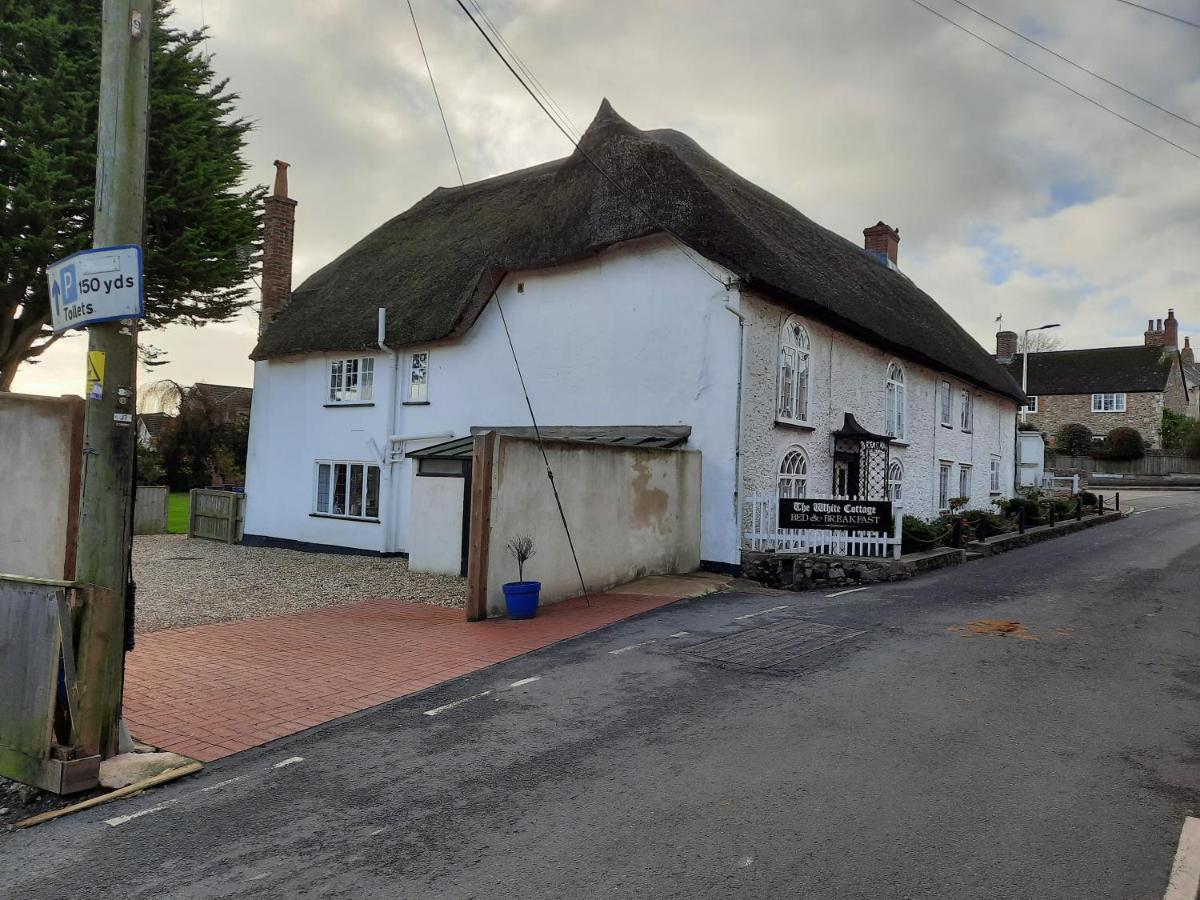 The White Cottage Colyton Exterior foto